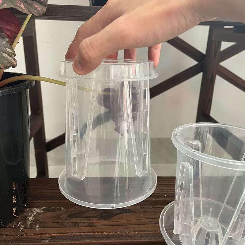 Цветочный горшок фаленопсис прозрачный корень с пластиковым дышащим аруком