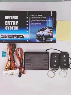 Car anti-theft device remote Central locking - ls002
