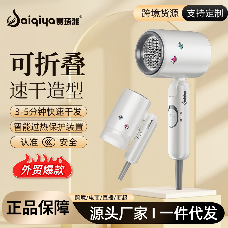Secador de pelo, ventas directas de fábrica, alta velocidad, viento doméstico, peluquería plegable, secador de pelo transfronterizo de hotel de alta potencia