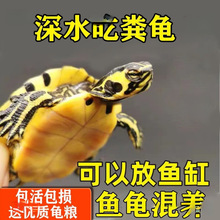 ��ˮ�ԼS���������������ˮ�^�p���~�����Bˮ�|�������~ʺ������