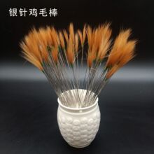 �������l�ɶ����� �y��uë���Ͷ������ëë�׹��y�