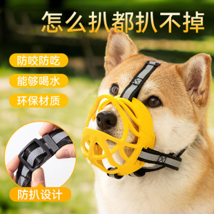 �羳������ҧ�����д���Ȯ��ë̩���������ҧ��ֹ�������m������