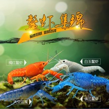 �^�p���rˮ���r�����r������{ħ�r��ˮ�����{ɫС���r�����y�r�E