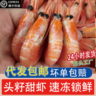 ���O���r����^�����r��ʳ���r���펧�Ѵ�̖���r���rˮ�a�������l