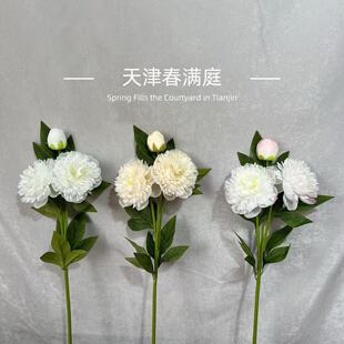 ���滨3�^����ĵ�� ��c��Y��·�����Ż��b����컨С�t���ٻ���