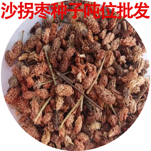 ���l�o������ɳ��ɳĮ����ֲ��ɳ�՗��N���Ƿ��L��ɳ�����hֲ����