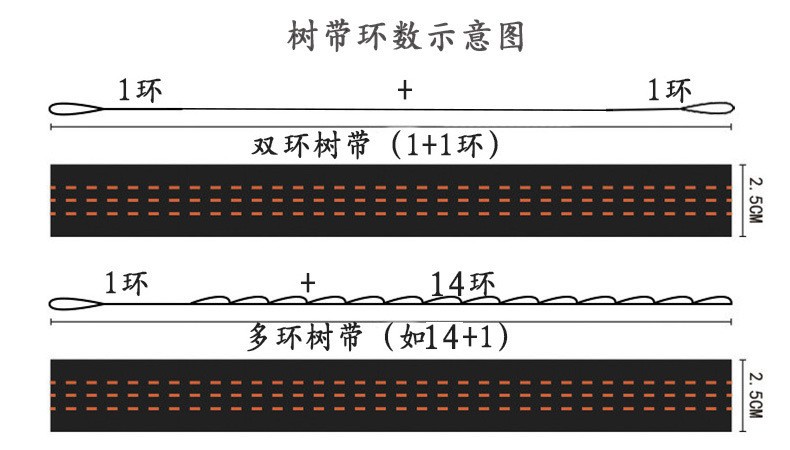 树带环数示意图.jpg