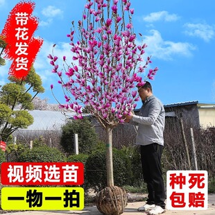 ���m�����玧�����t�����S�ļ��_������ͥԺ�������ԾG���ͺ����