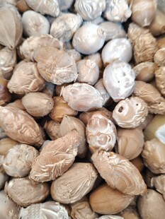 ��ˇ�YƷ��_�˵�/�ϙ��DIY�ϙ�˰��Ʒ΢�ѻ����x�۵�覴�