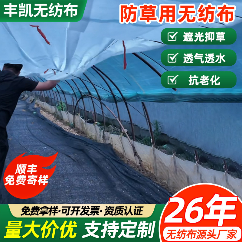 Greenhouse Planting Weed Control Non-Woven Fabric Agricultural Ground Cover Garden Breathable Moisture-Retaining Weed Control Cloth Black Pp Spunbond Fabric Roll Greenhouse Planting Weed Control Non-Woven Fabric Agricultural Ground Cover Garden Breathable Moisture-Retaining Weed Control Cloth Black Pp Spunbond Fabric Roll