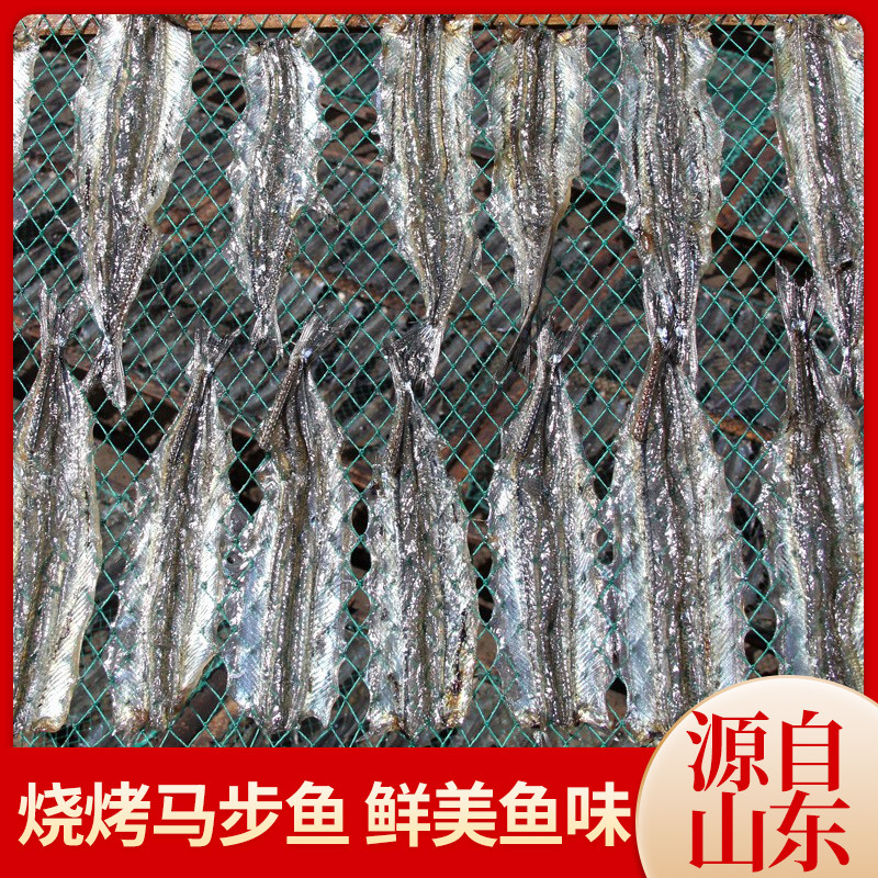 厂家直供批发马步鱼干烧烤调味鱼片银针鱼干棒鱼干海鲜淡晒马步鱼