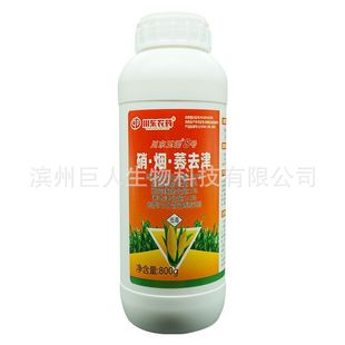 ����ݬ30%�͑Ҹ������ǲ�ͪ���׻�¡�����������݄����|800��