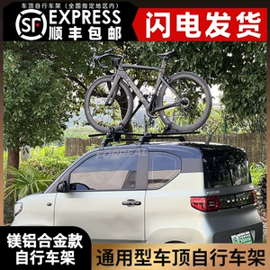 Avtomobil damı velosiped daşıyıcısı, baqaj rəfi, universal model