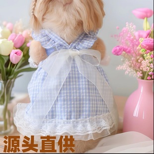 �����B��ȹ؈�����ȹ�����·��ļ�̩�ϱ���ͨ��С����Ȯ���ı���