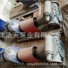 高粘度内齿轮泵TDDM 树脂 胶水 糖蜜齿轮泵 稠油沥青 蜂蜜齿轮泵