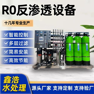 RO反渗透EDI超纯水设备食品制药电子全自动离子交换设备纯水机组