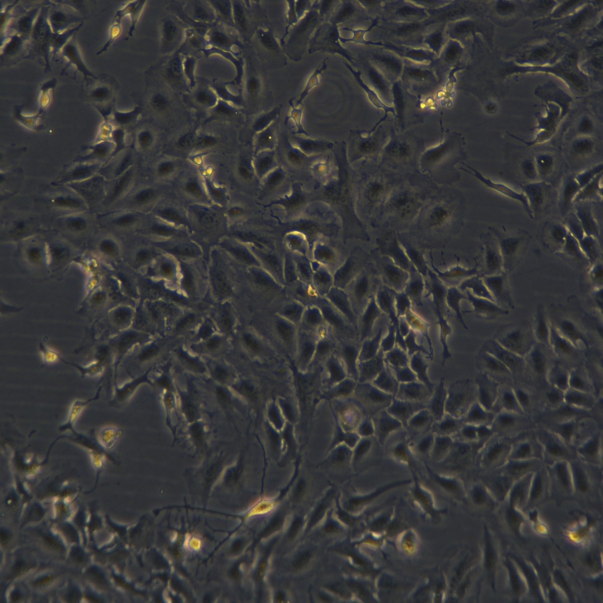 2025-11-05 15:26:04.jpg