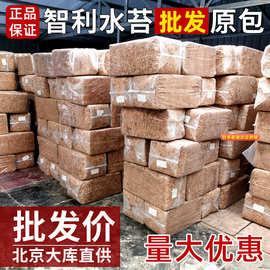 批发智利进口水苔干苔藓蝴蝶兰专用基质 石斛植物营养土龟蛇垫材
