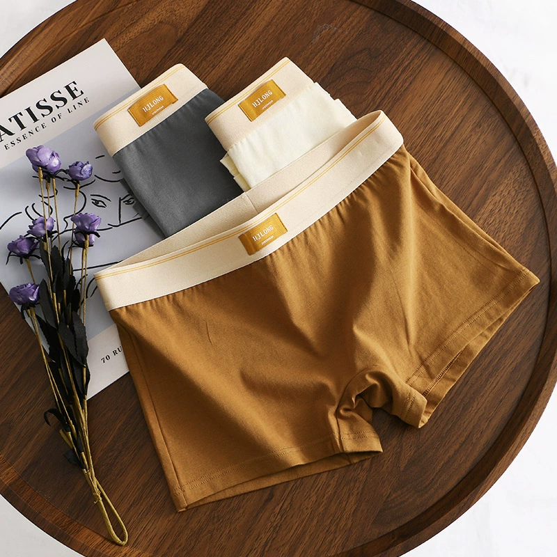 Новые хлопковые минималистские женские трусики хлопчатобумажные женские боксеры милые женские защитные брюки спортивные шорты