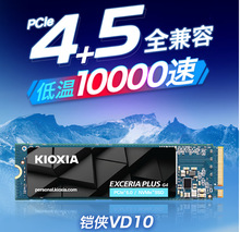 1TB SSD固态硬盘 NVMe M.2接口 EXCERIA PLUS G4 VD10 系列其他