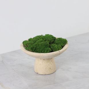 Natural Cave Stone Simulation Green Plant Flower Pot Decoration Hotel Sales Office Negotiation Table Living Room Coffee Table Desktop Soft Decorations