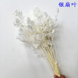 �y���~�ɻ��������y���~�滨���滨��ɫ�y���~�Ҿ��}�Q����Y�b�