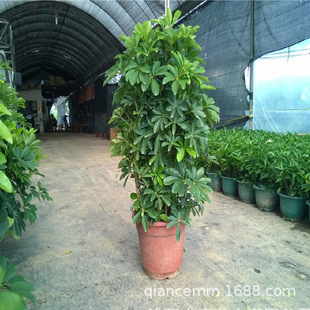 ���_ľ���~ɏ��ؔ��˷���ؔ�����k���ҿ͏d���;Gֲ����ȩ���B��