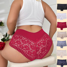 加大码女式性感内裤高腰弹力镂空冰丝蕾丝内裤纯棉底裆跨境爆款批