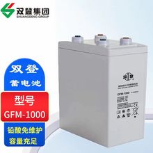 雙登GFM-1000蓄電池2V1000AH鉛酸免維護儲能通信基站發電廠光伏