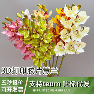 ���滨��ٻ���c�bƵ�3D��ӡ�zƬ���m�ɴ��l���Sֱ�N���滨