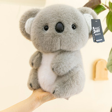 ���ȿ�����żë�q��߿ɐ۱��������ܹ��в��������նY�ͯ����