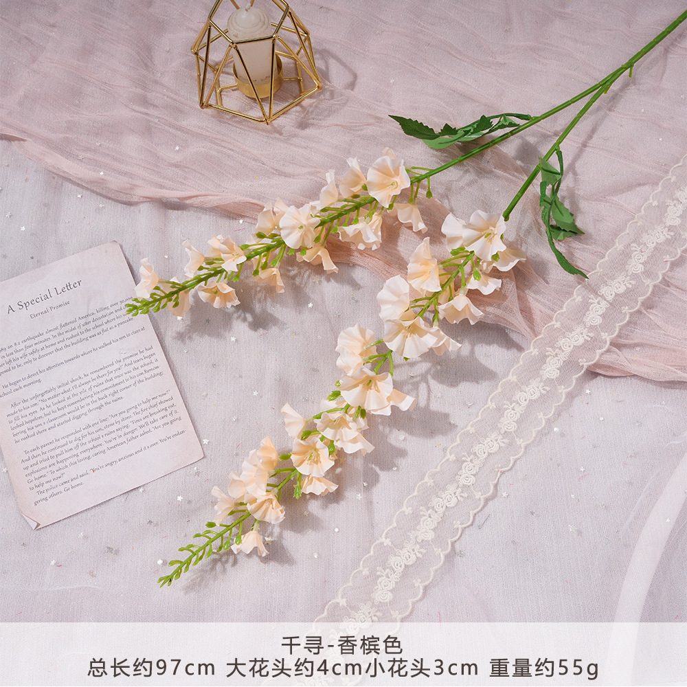 XQ-千寻-香槟色