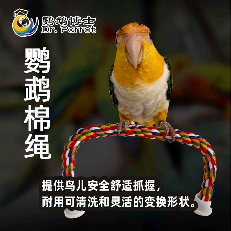 Попугай Хаген Гарри восхождение на хлопчатобумажную веревку станции