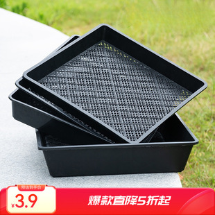 �Ӻ�ѿ������PѨ�Pѿ����бP����������l��ѿ��Nֲ�Ь����P