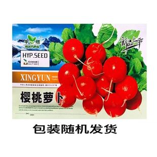 ����С�}���N�������}�������ļ��̨���������׷N�߲�ˮ���}����