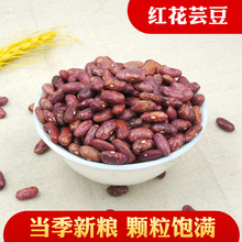鑫鸿禾东北花芸豆新货大粒农家饭豆特产大碴粥五谷杂粮红芸豆新鲜