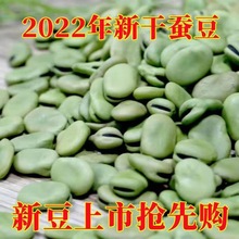 厂家直销新货干蚕豆生蚕豆干货蚕豆炸兰花豆发蚕豆芽罗汉豆胡豆批