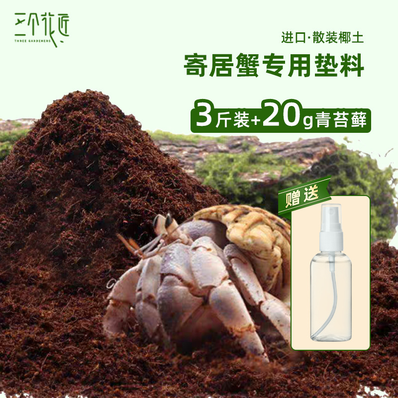 Cua ẩn sĩ đất dừa nguyên chất 1.5kg + bình tưới + 20g rêu