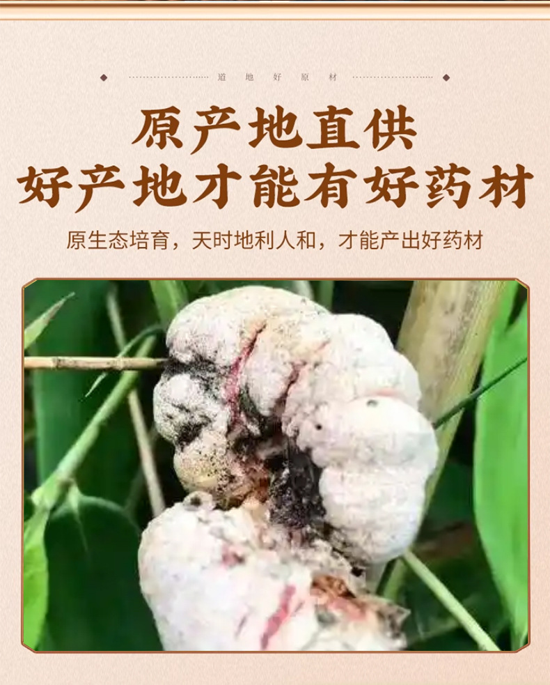 Bamboo Fungus Zhu Huang 50g Dried Herb for Herbal Wine and Decoctions Hand Selected key features