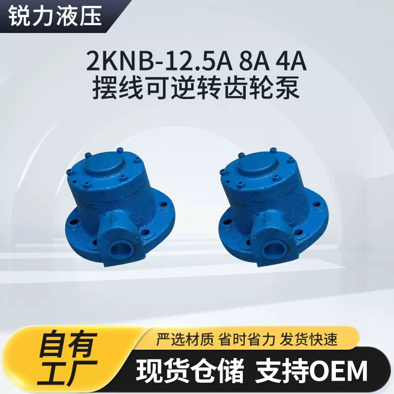 2KNB-12.5A8A4A摆线可逆转齿轮泵减速机润滑泵齿轮箱油泵液压泵