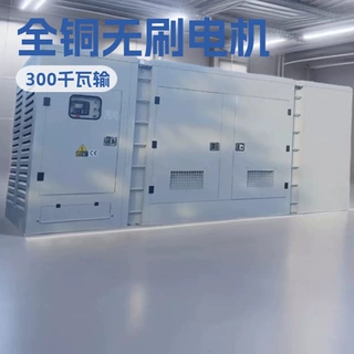 户外发电机 集装箱式 300KW康明斯柴油发电机组 静音型