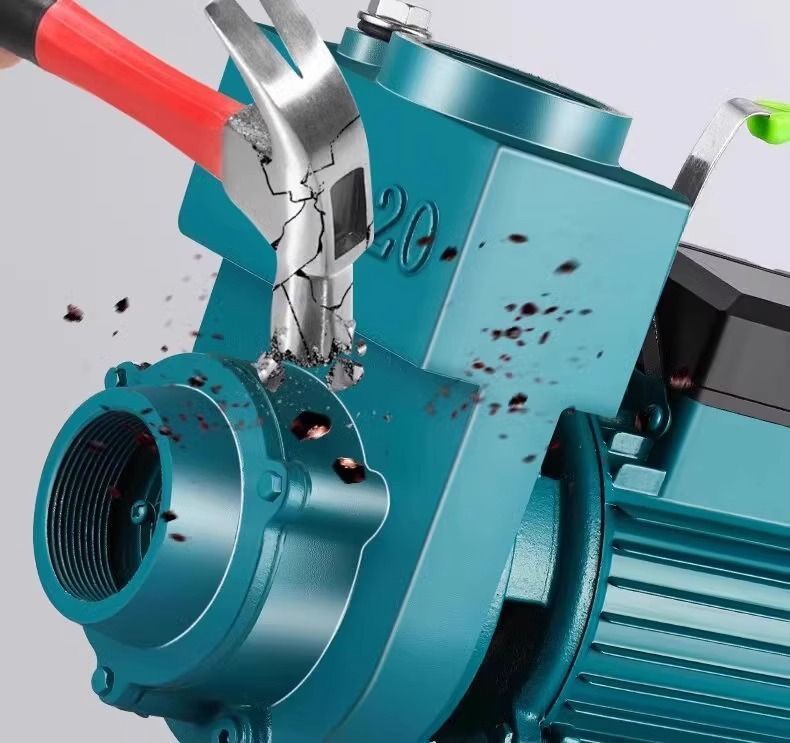 Zdk Self-Priming Pump 220V Household Large Flow Clean Water Pump Water Pump Agricultural Sewage Septic Tank Sewage Centrifugal Pump