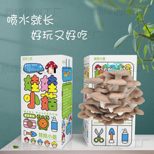 ƽ���������Nʳ�ô��b��Ģ���Nֲ�����̨Ȥζ���b��ͯ