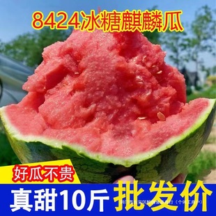 ���ڸ�ɽ��������ɳȿ���ք����ϑ��������������֭���������rˮ