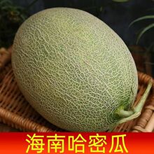 �Fժ�F�l���Ϲ��ܹ���Ƥ�t��W�y�ϴ��������ە������rˮ���a��ֱ