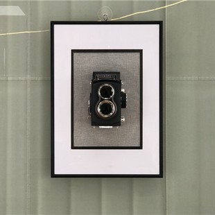 Stereo camera art decorative painting/camera mounting painting craft hanging painting // villa model room ornaments/camera painting