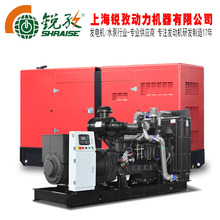 �ϲ�ɷ�SDEC�_�����o����ˮ��100KW��˹̹��늙C���Ͱl늙C�M