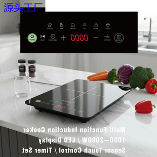 Դ�^���SHigh Quality 1000W-2000W Power Electric Portable Mul