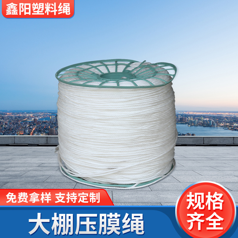 PE聚乙烯大棚吊绳压膜绳 园艺植物攀爬八仙绳 运输捆绑白绳厂家