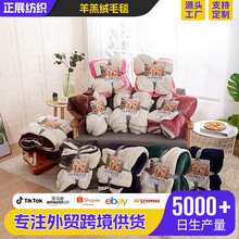 外贸跨境羊羔绒毛毯双层加厚法兰绒儿童盖毯沙发午睡毯子礼品被子
